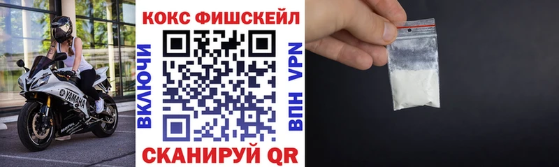купить закладку  Палласовка  Кокаин Fish Scale 
