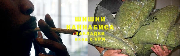 сатива Бронницы