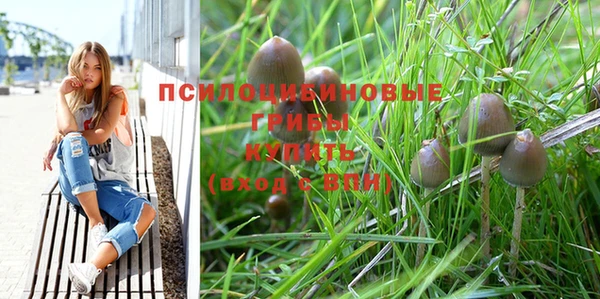 герыч Бородино