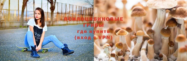 герыч Бородино
